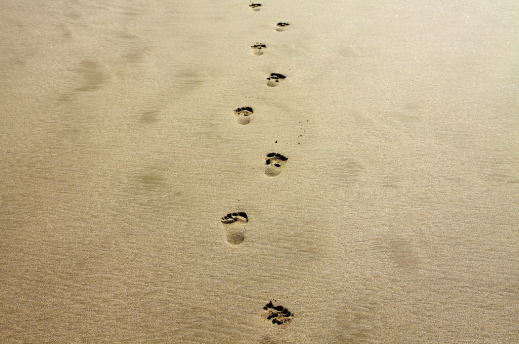 Footprints